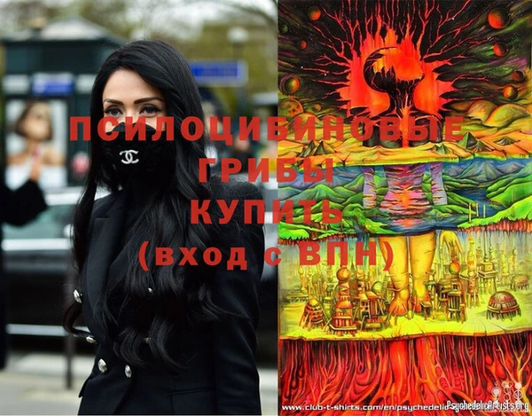 тгк Алзамай