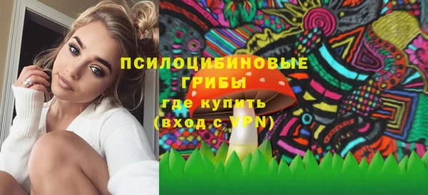 тгк Алзамай